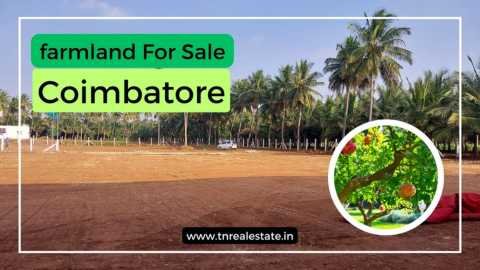 20,25,30 Cent Per Plot Farmland For Sale In Coimbatore