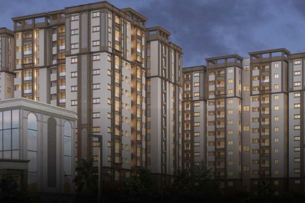 Pavani_North_Star