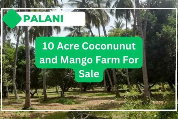 10_Acre_Farm_For_Sale