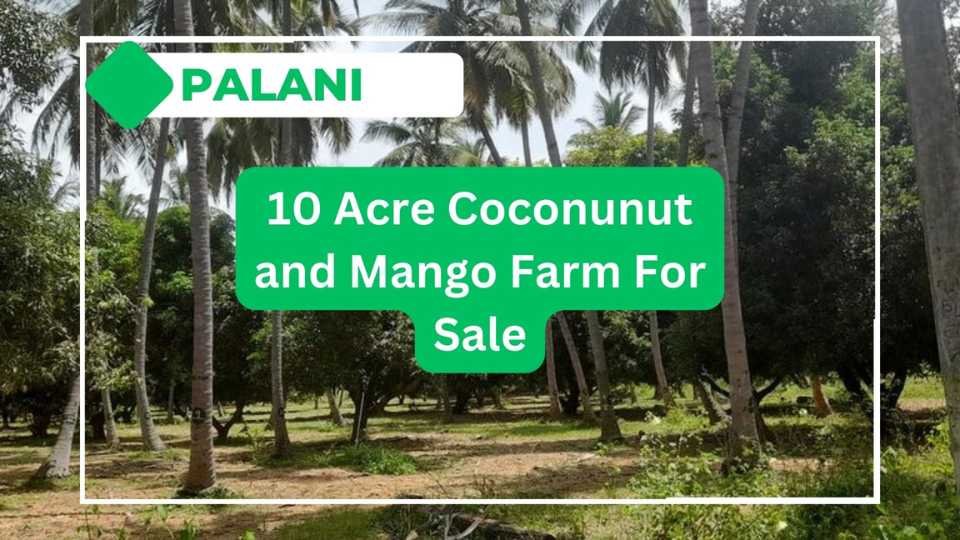 10_Acre_Farm_For_Sale